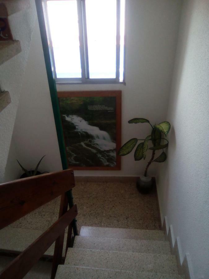 8 Calle Tangara La Gloria Santa Cruz de Tenerife Bagian luar foto